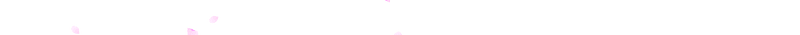 Cherry blossoms decoration
