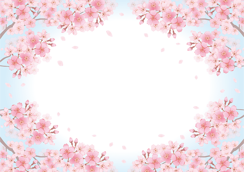 Cherry blossoms frame