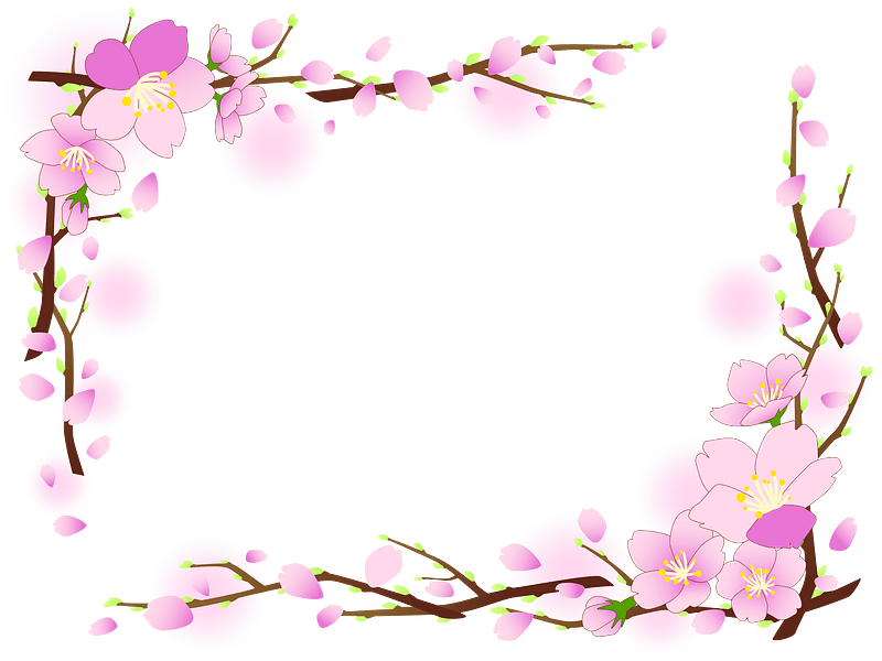 Cherry blossoms frame