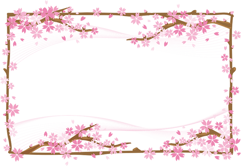 Cherry blossoms frame