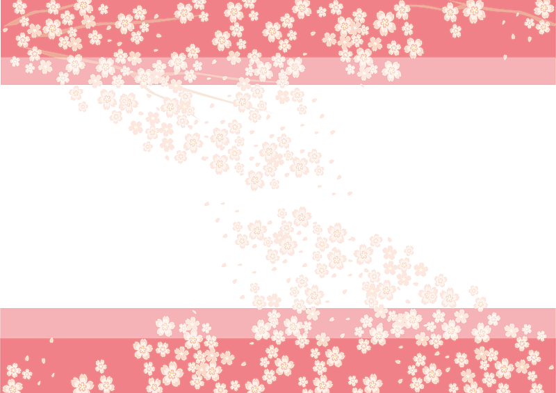 Cherry blossoms frame