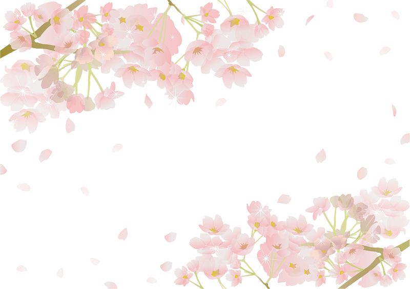 Cherry blossoms frame