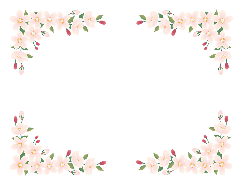 Cherry blossoms frame