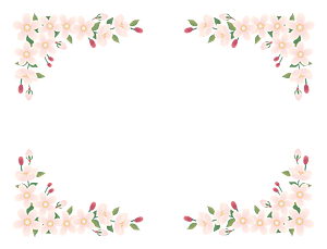 Cherry blossoms frame