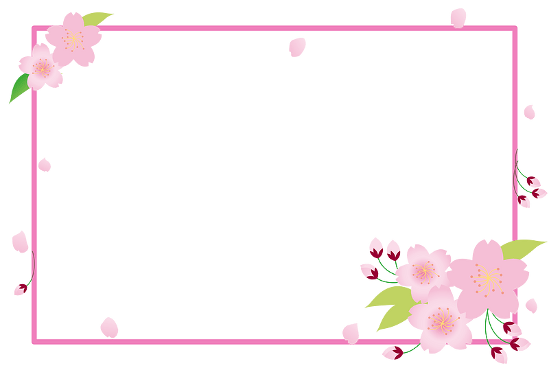 Cherry blossoms frame