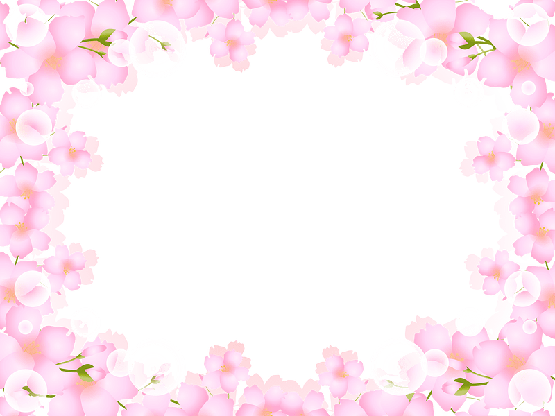 Cherry blossoms frame
