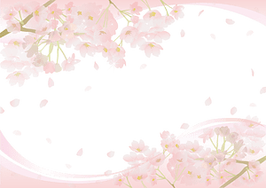 Cherry blossoms frame