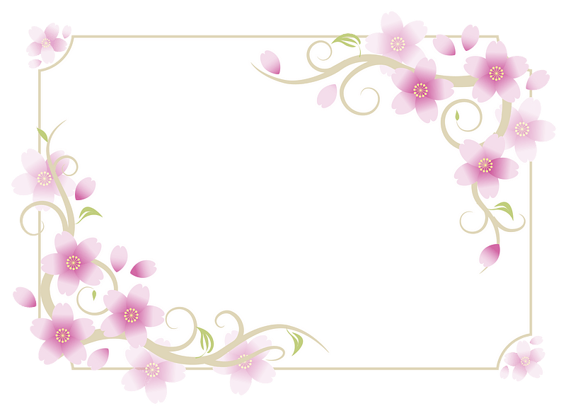 Cherry blossoms frame