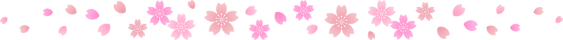 Cherry blossoms line