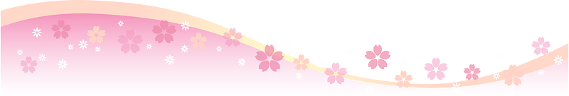 Cherry blossoms line