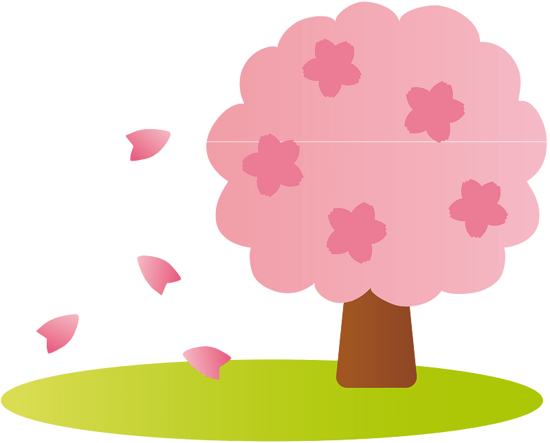 Cherry blossoms tree