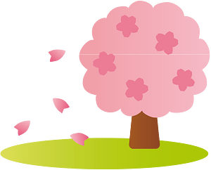 Cherry blossoms tree