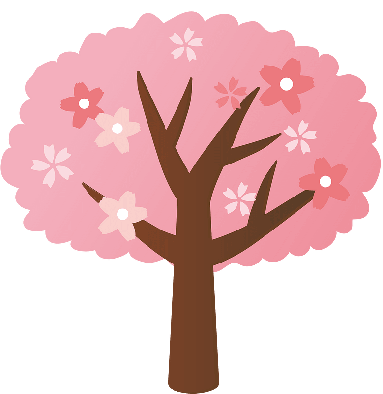 Cherry blossoms tree