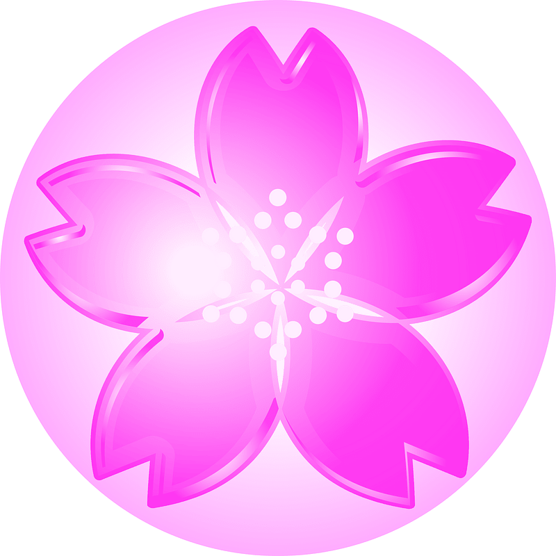 Cherry blossoms