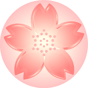 Cherry blossoms