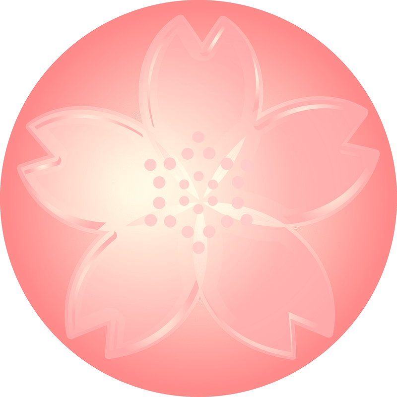 Cherry blossoms