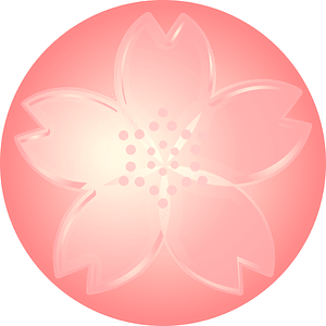 Cherry blossoms