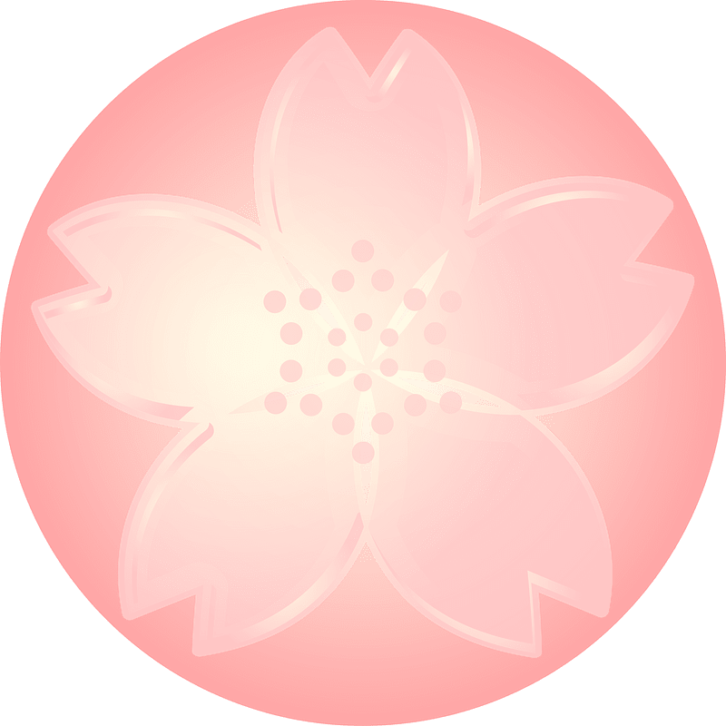 Cherry blossoms