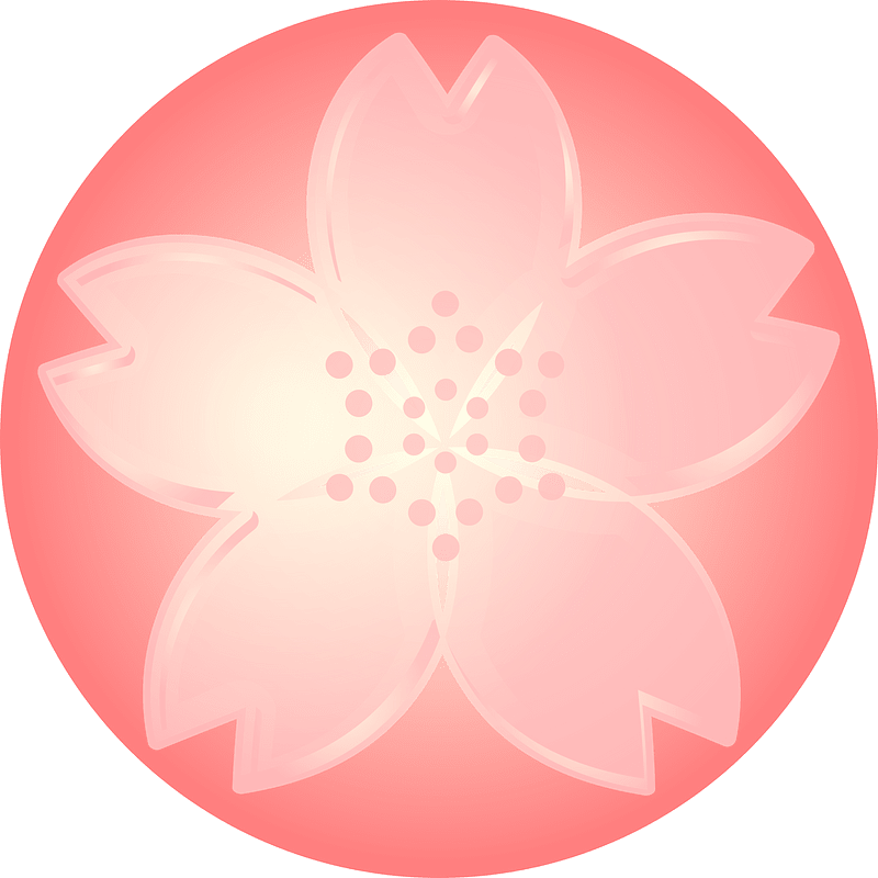 Cherry blossoms