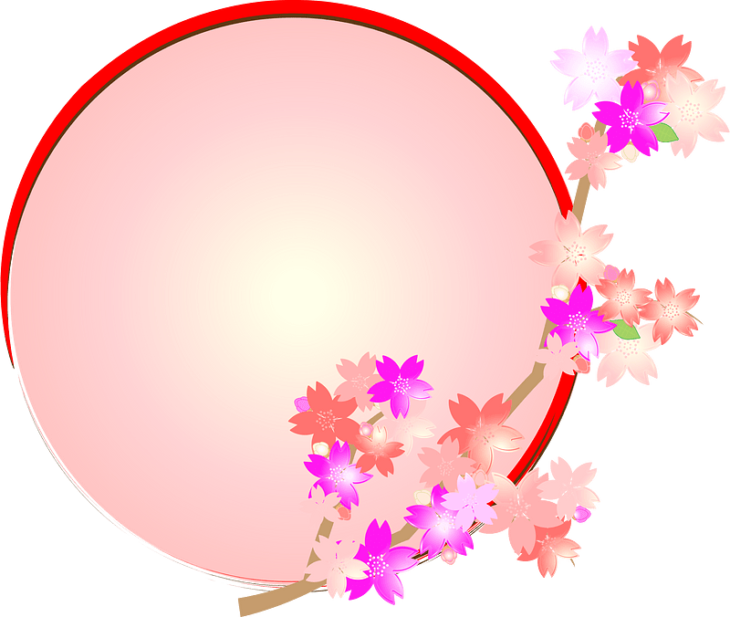 Cherry blossoms