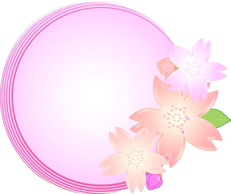 Cherry blossoms