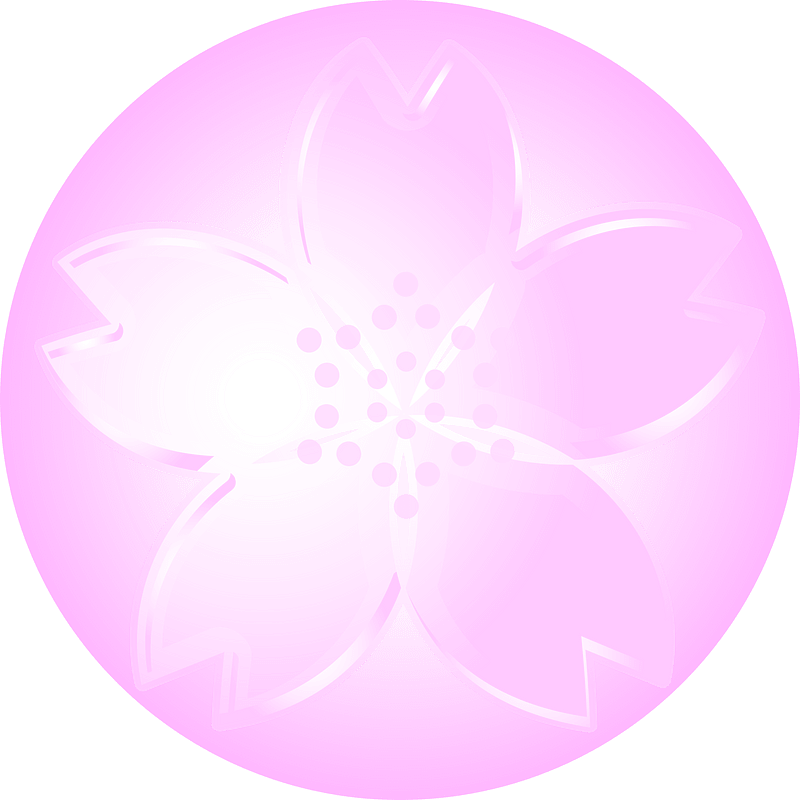 Cherry blossoms