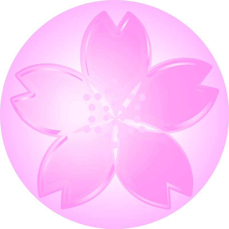 Cherry blossoms