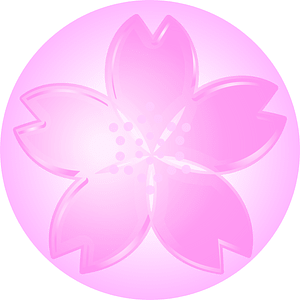 Cherry blossoms
