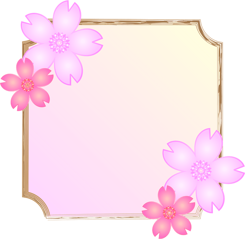 Cherry blossoms