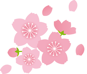 Cherry blossoms