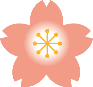 Cherry blossoms