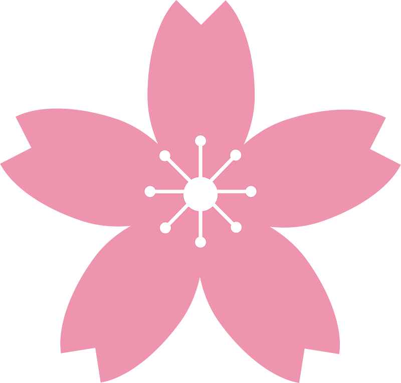 Cherry blossoms