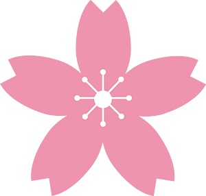 Cherry blossoms