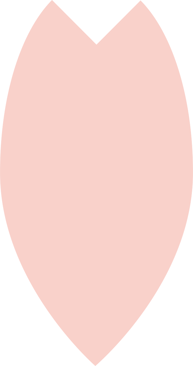 Cherry blossoms