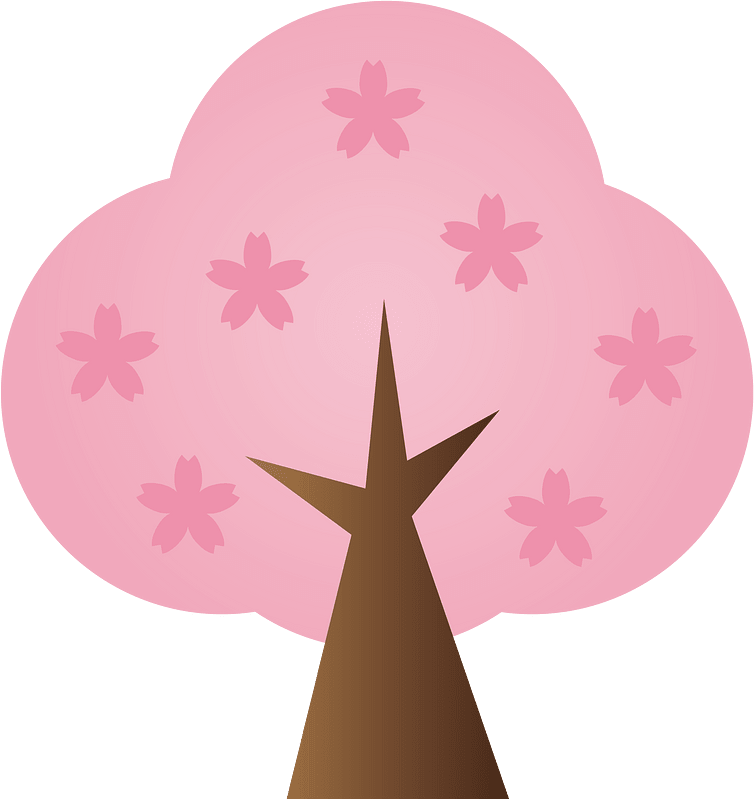 Cherry blossoms