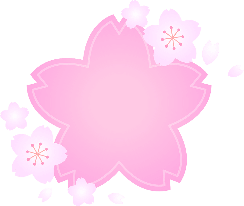 Cherry blossoms