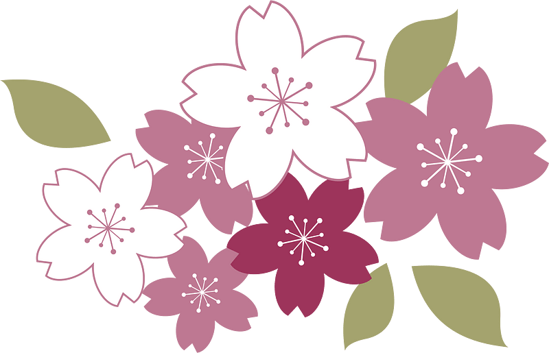 Cherry blossoms