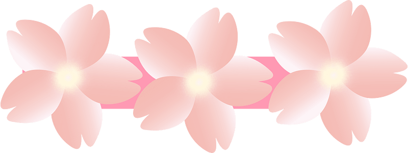 Cherry blossoms