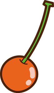 Cherry fruit