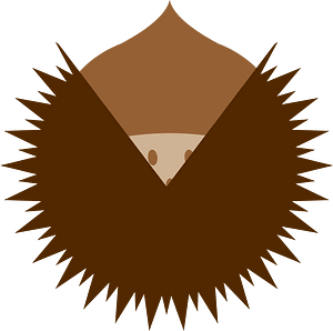 Chestnut autumn