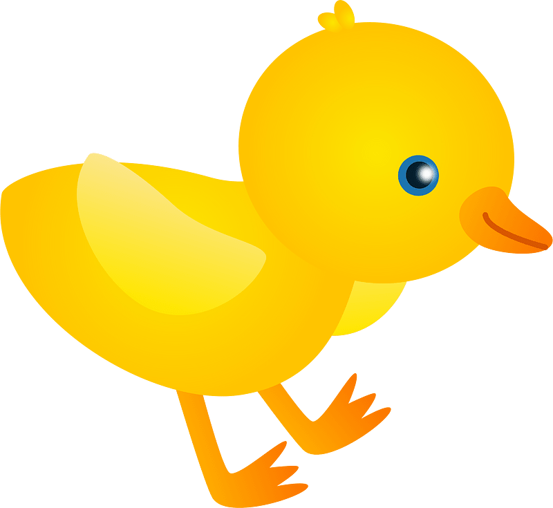 Chick bird
