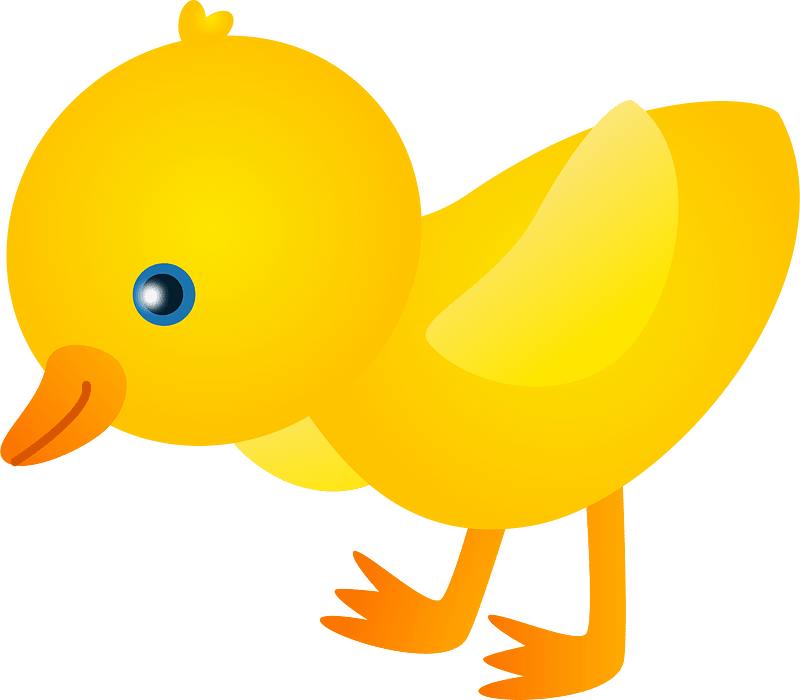 Chick bird