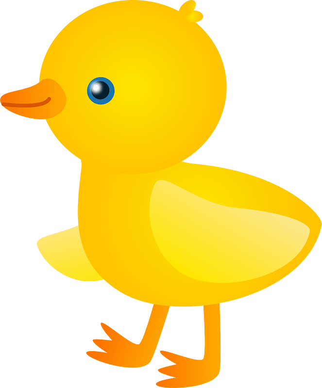 Chick bird