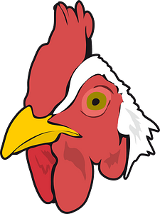 Chicken chick