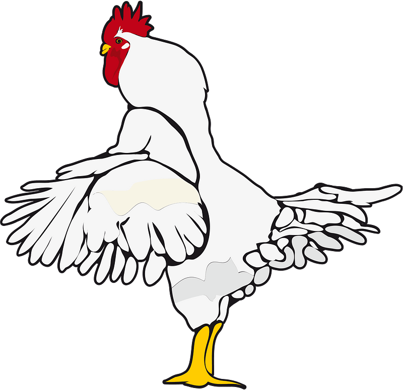 Chicken chick
