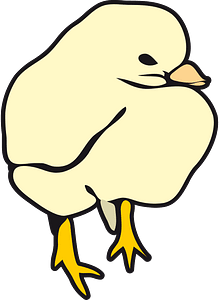 Chicken chick