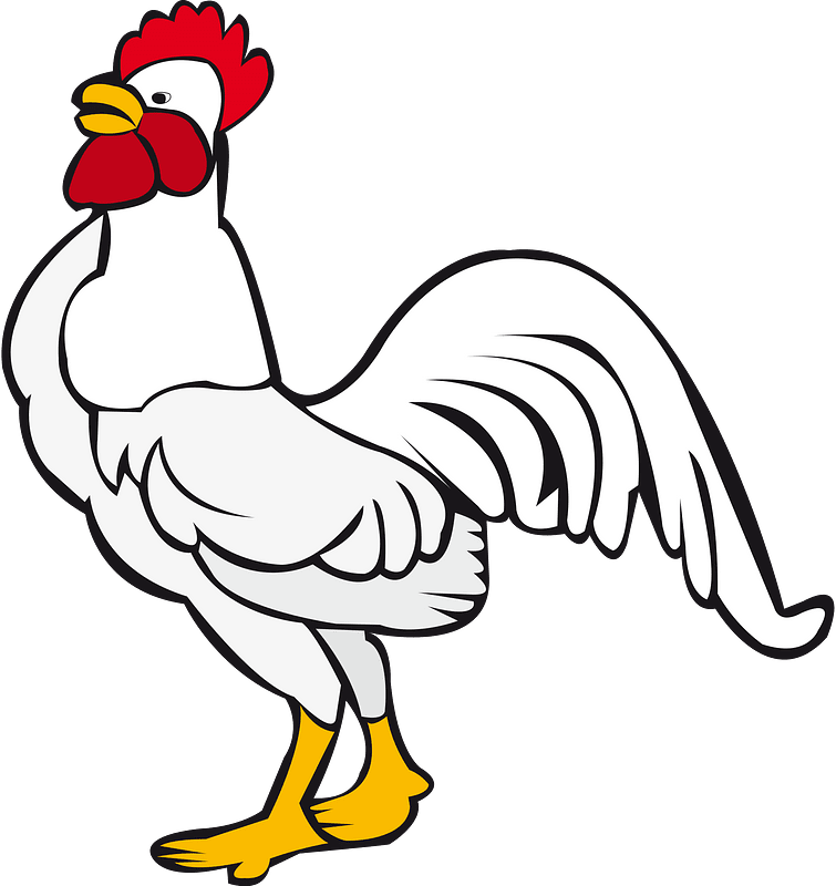Chicken chick