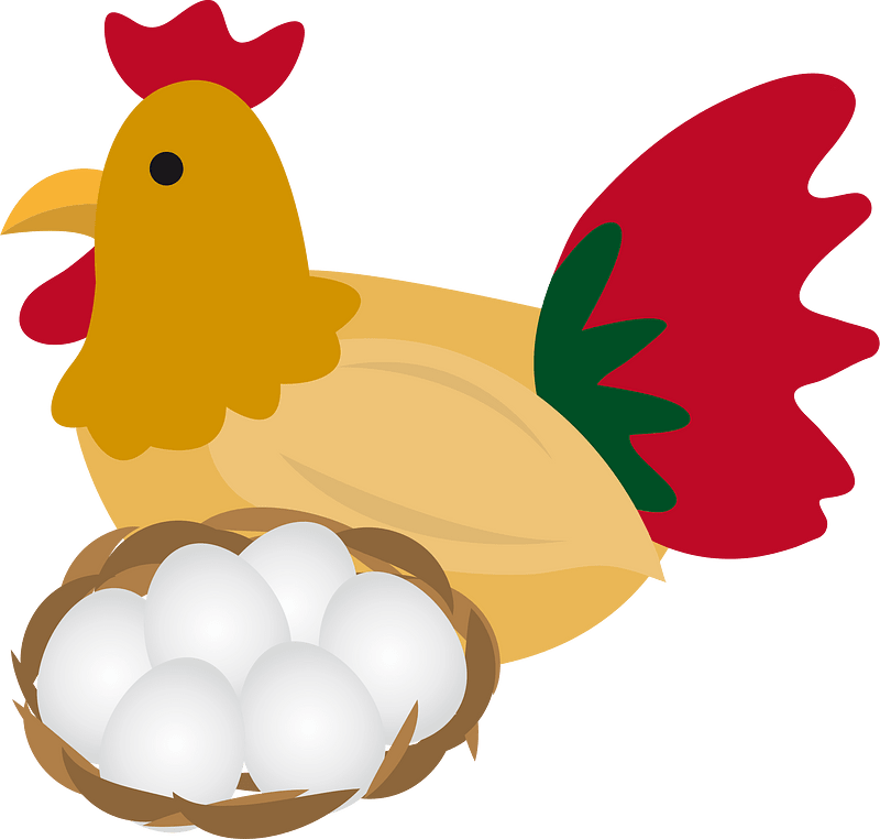 Chicken egg