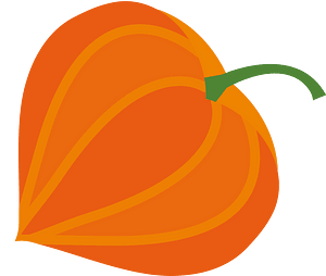 Chinese lantern plant