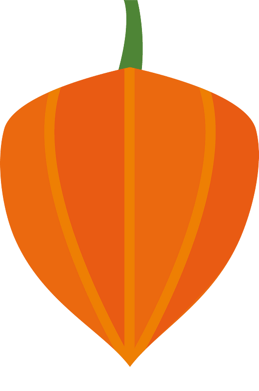 Chinese lantern plant